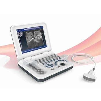 Производство портативного цифрового ноутбука XF30, портативного ветеринарного ультразвукового аппарата для домашних животных