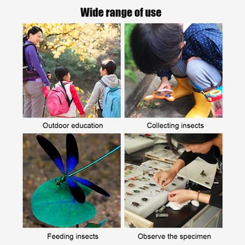 Коробка Для просмотра насекомых с лупой Игрушки для детей Пинцет Инструмент для исследования сети Обучающая игрушка для наблюдения за экспериментами